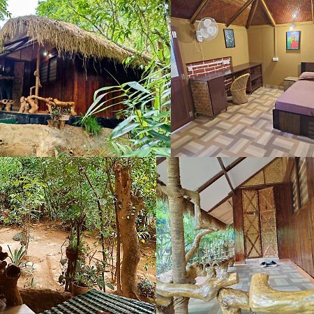 Koomankolly Resort Thirunelly Exteriör bild