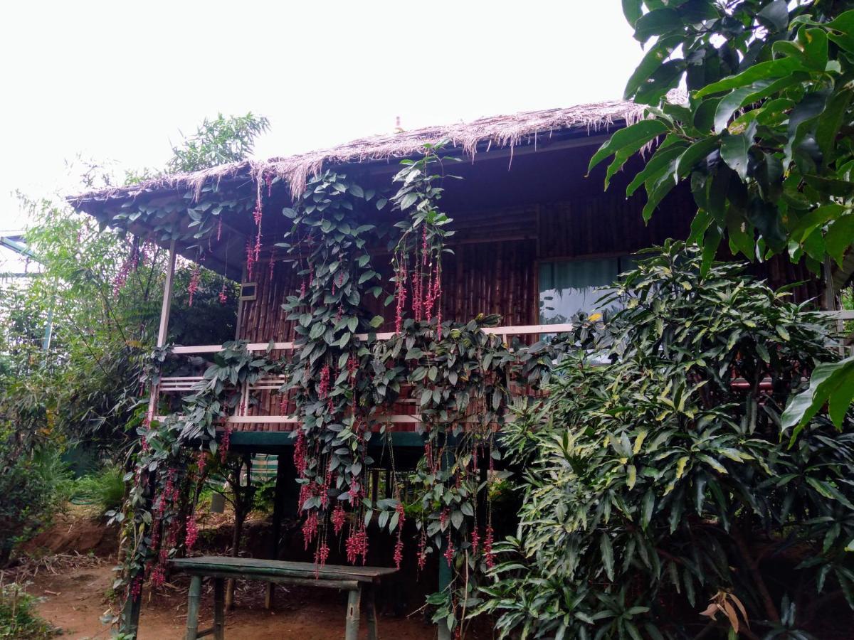 Koomankolly Resort Thirunelly Exteriör bild