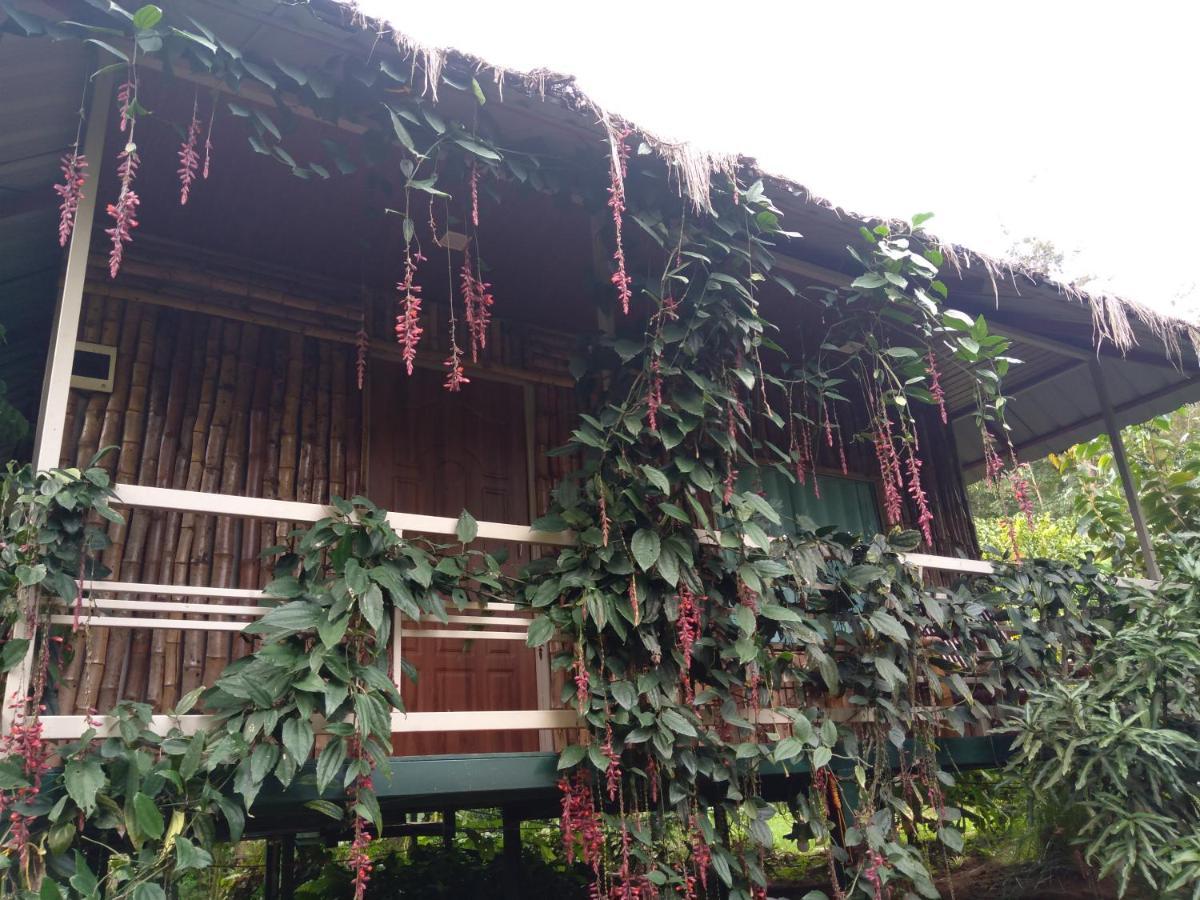 Koomankolly Resort Thirunelly Exteriör bild